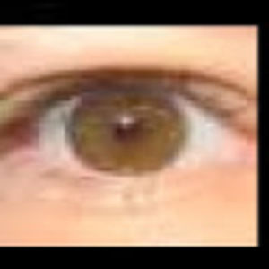 Meet your Posher, Terry